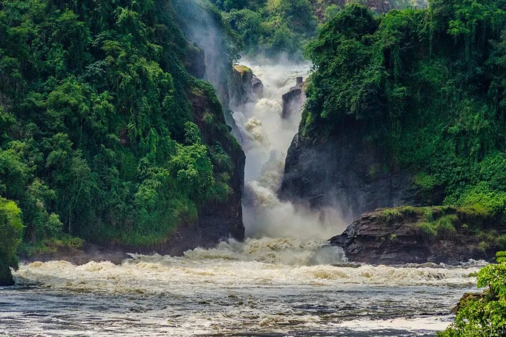 Murchison Falls Local Adventure